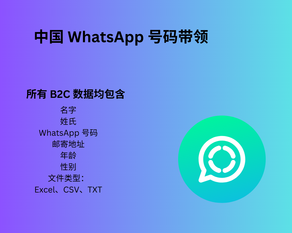 中国 WhatsApp 号码带领